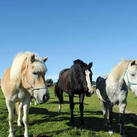 Appartement Immensee App G