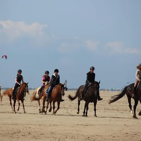 Appartement Immensee App G Ehst